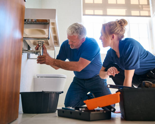 Best Shower Repair Services  in Norwood Young America, MN