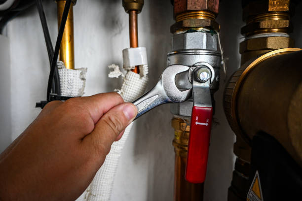 Best Residential Plumbing Services  in Norwood Young America, MN